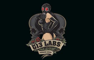 G13 Labs Seeds