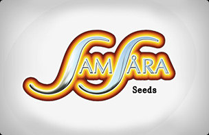 Samsara