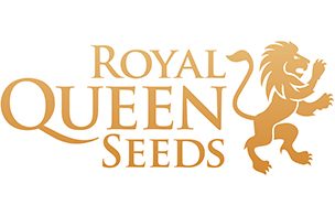 Royal Queen Seeds