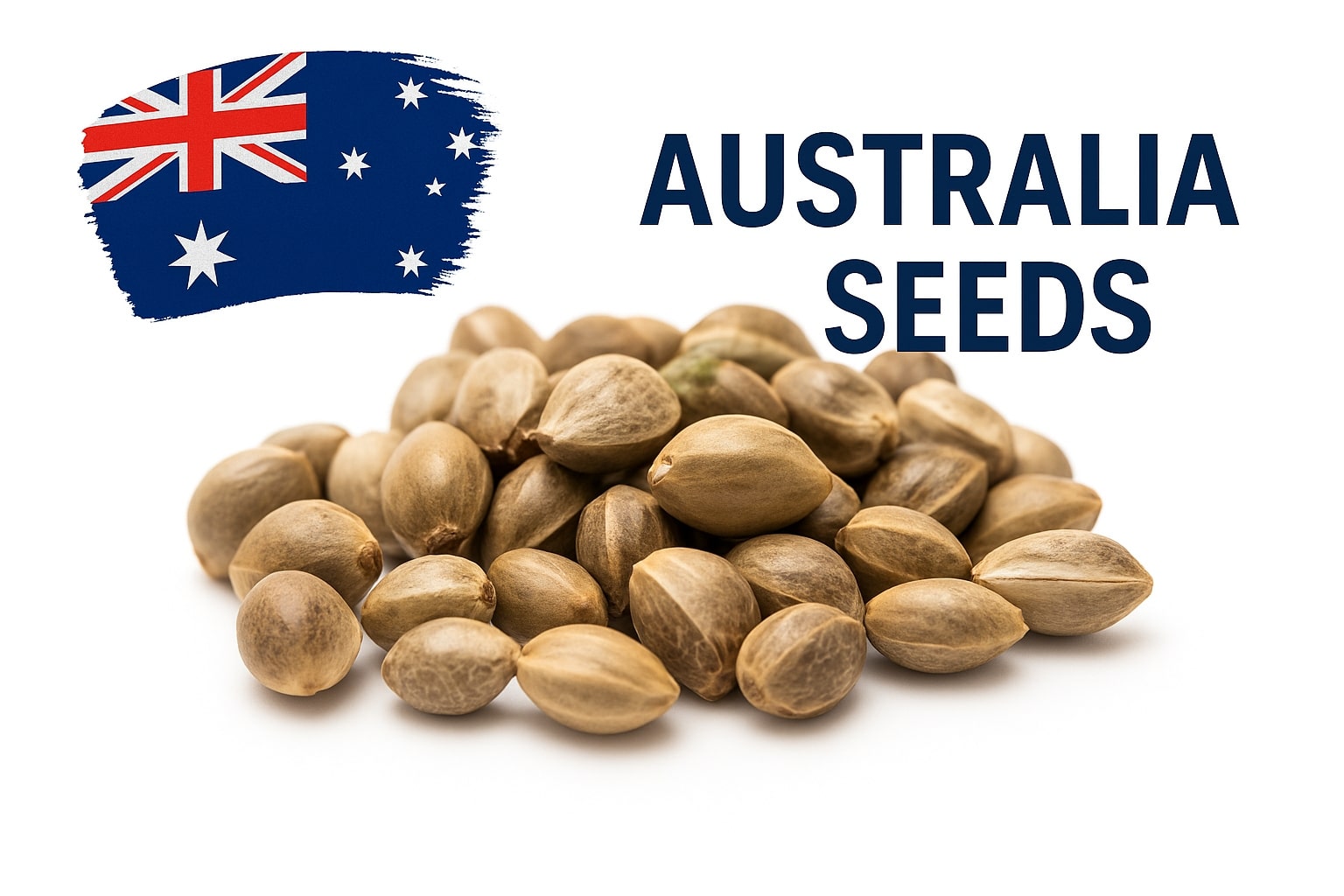 Rare cannabis seeds available in Australia – high-quality feminised, auto-flowering and CBD-rich varieties