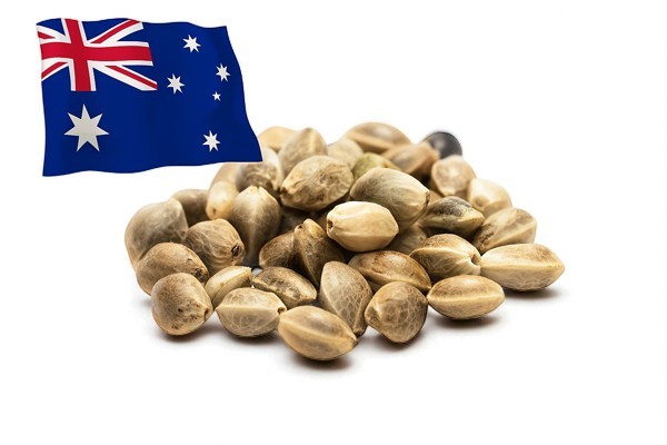 triploid cannabis seeds australia